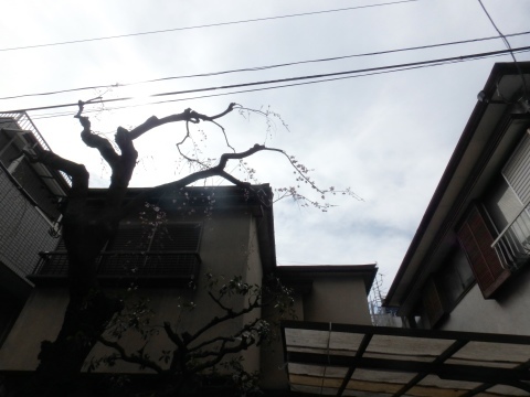 f0052277_00083017.jpg