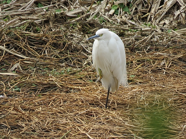 f0357487_22105357.jpg