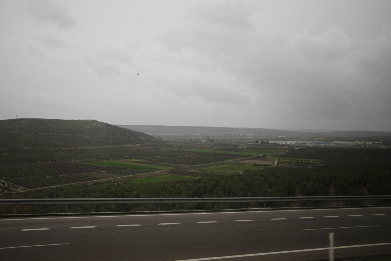 b0177792_08493120.jpg