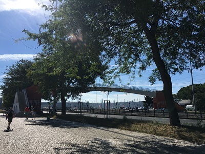 f0080102_16032964.jpg