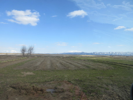 a0203003_23032001.jpg