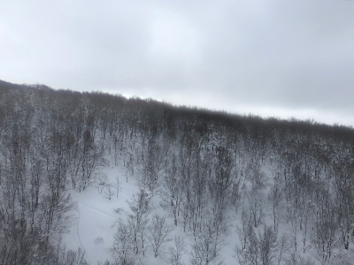 毎年恒例！親孝行旅・青森へ。その2_f0126903_20021728.jpg