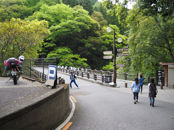 四国・岬巡りの旅３９（かずら橋～祖谷峡）_f0180607_18385686.jpg