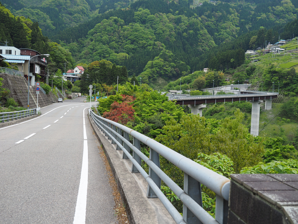 四国・岬巡りの旅３９（かずら橋～祖谷峡）_f0180607_18385991.jpg