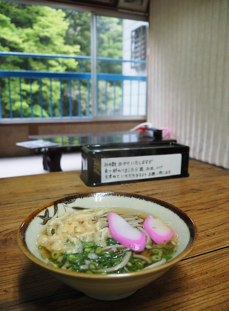 四国・岬巡りの旅３９（かずら橋～祖谷峡）_f0180607_18392148.jpg