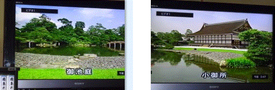 f0231709_09282386.gif