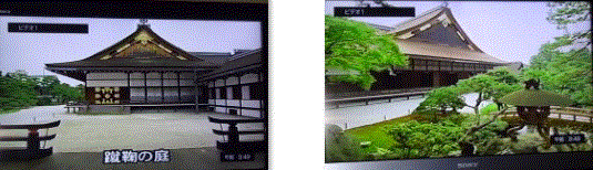 f0231709_09294058.gif