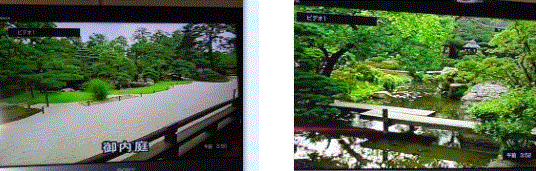 f0231709_09302638.gif
