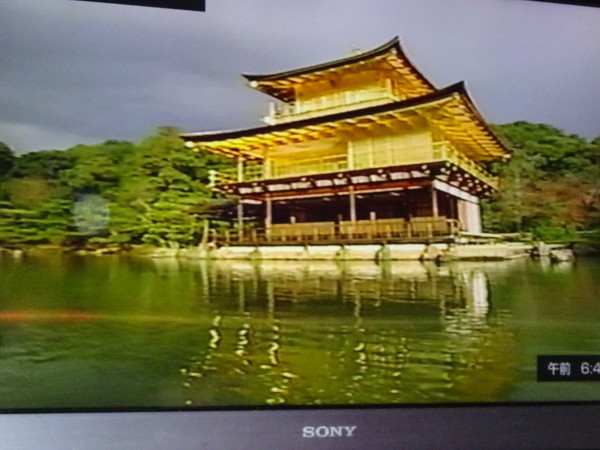 f0231709_09321616.jpg
