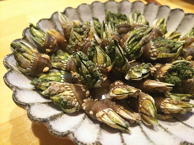 磯の珍味 亀の手 旨し A Day In My Life