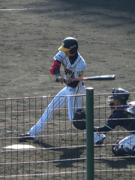 釣り三昧ブログより　甲子園でも偏光レンズ！！！　～　メガネのノハラ　イオン洛南店　甲子園　阪神タイガース　TALEX　サングラス　～_c0221718_15055152.jpg