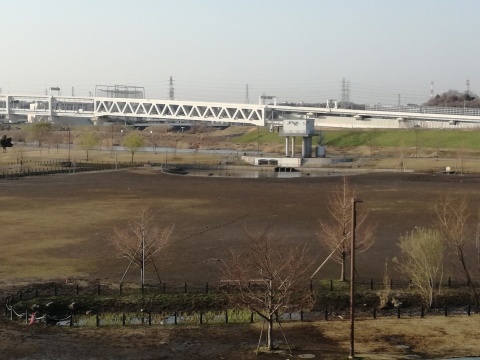 d0159325_10424093.jpg