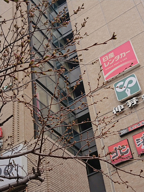 a0222229_8474790.jpg