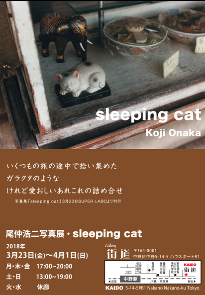  尾仲浩二氏 写真展「sleeping cat」 _b0187229_11500938.png