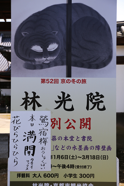 相国寺 －塔頭・林光院（再訪）－_b0169330_23542811.jpg