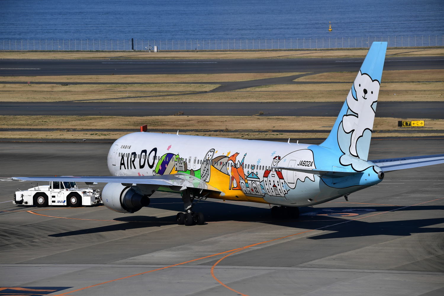 いろいろな飛行機 : Taro's Photo