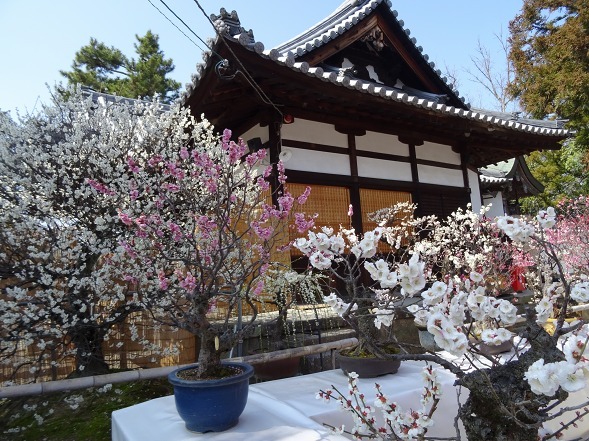 b0299042_22343640.jpg