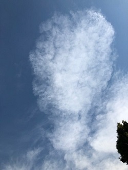 d0367842_15181448.jpg