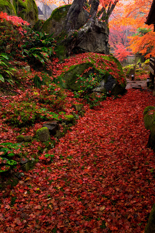 滋賀の紅葉2017 秋色に染まる教林坊_f0155048_2033996.jpg