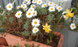 d0197949_11283210.gif