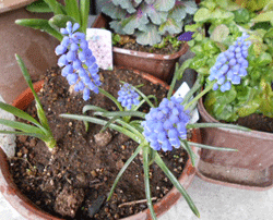 d0197949_11284869.gif