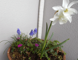 d0197949_11290009.gif