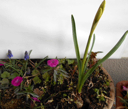 d0197949_11302562.gif
