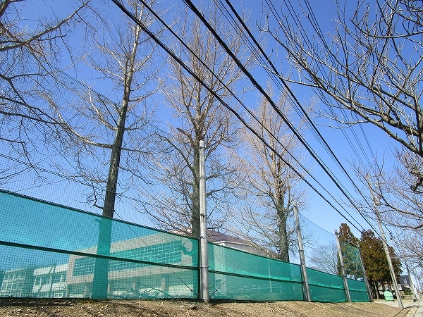 c0327752_16520875.jpg