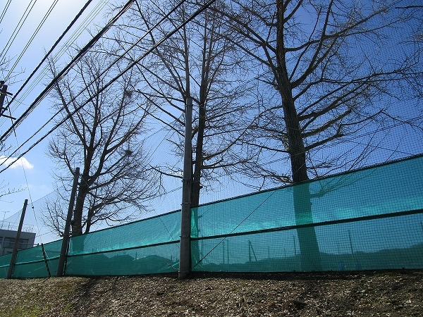 c0327752_16522939.jpg