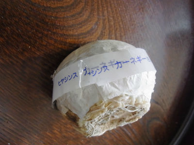 e0347056_15312176.jpg