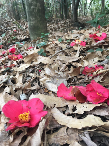 重力と恩寵 シモーヌ ヴェイユ ちくま学芸文庫 森山 恵 詩のページ Poesia Poesia 重力と恩寵 シモーヌ ヴェイユ ちくま学芸文庫 森山 恵 詩のページ Poesia Poesia