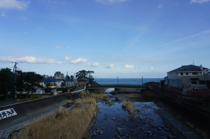 河津桜まつり２０１８☆４　峰温泉大噴湯～河津桜原木_d0152261_19282465.jpg