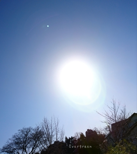 d0362666_22472402.jpg