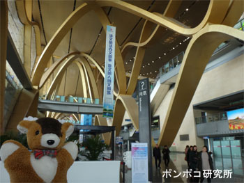 e0073268_1831718.jpg