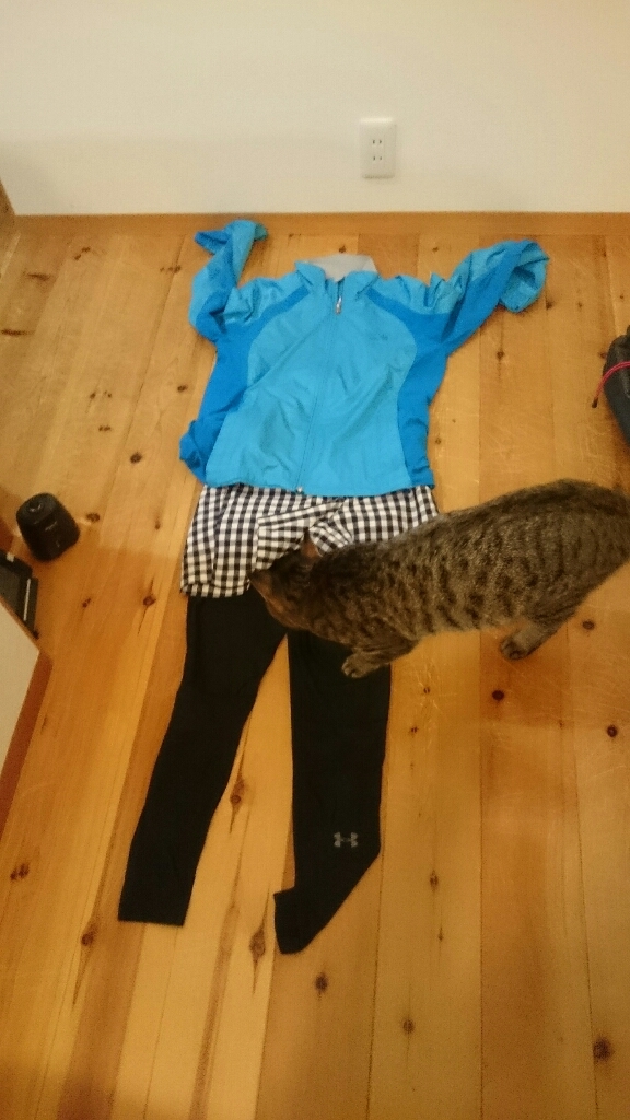 c0150772_22473231.jpg