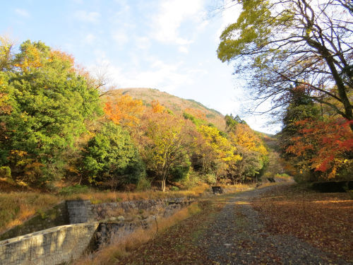 平成26年年5月10日(土)鈴鹿山系 綿向山_c0002874_18151745.jpg
