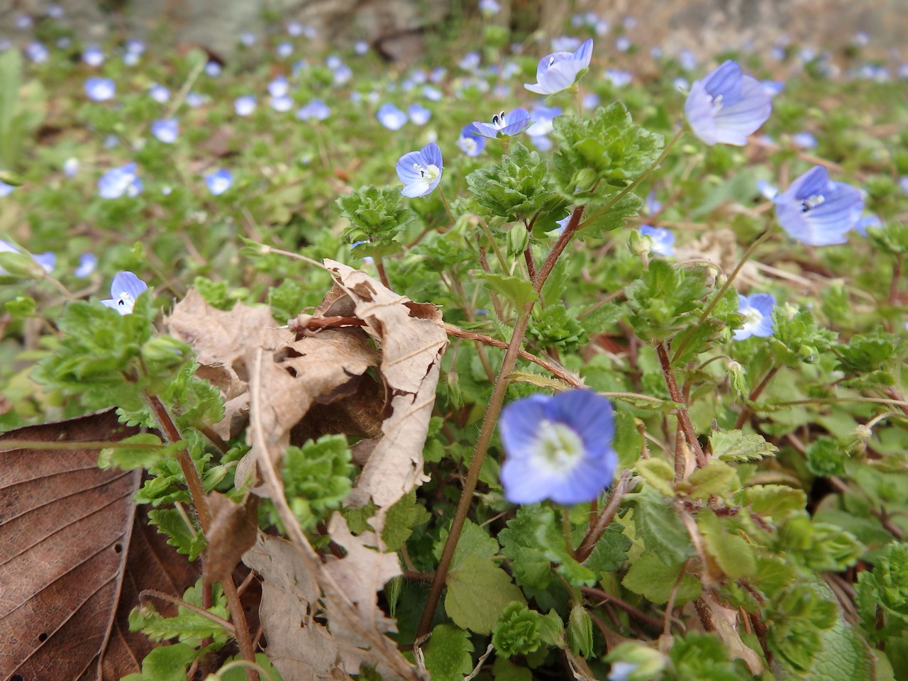d0054276_2042294.jpg