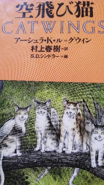 空飛び猫_e0303187_13181218.jpg