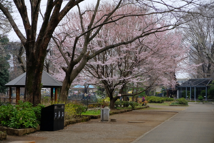 井の頭自然文化園_b0195589_223397.jpg