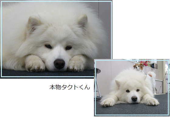 d0282395_19411300.png