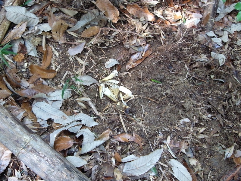 f0325295_15003762.jpg