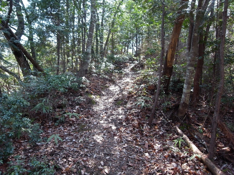 f0325295_15004577.jpg