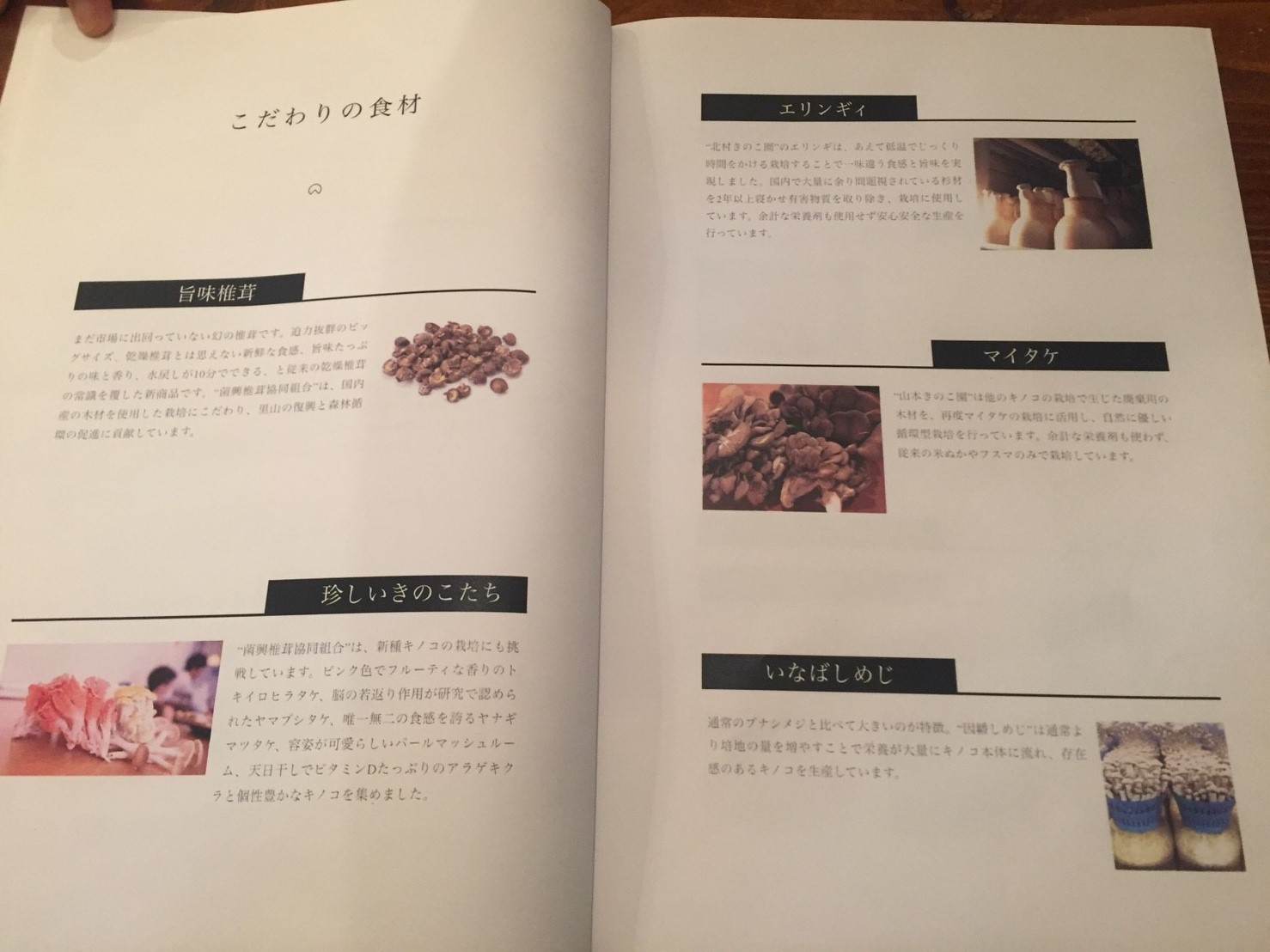 Tottoriカルマ まっしゅROOM_e0115904_17472004.jpg