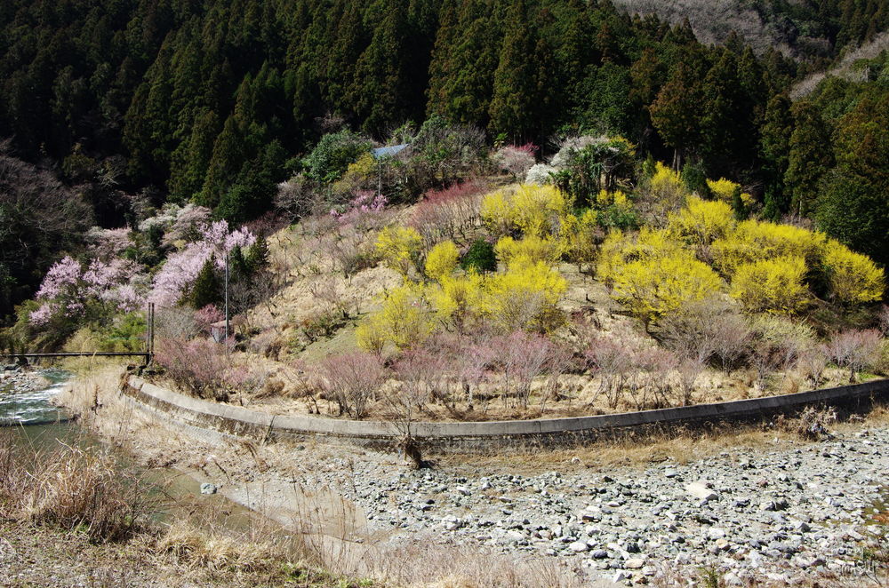  西吉野　「川岸」 「鹿場」_d0342307_00150620.jpg