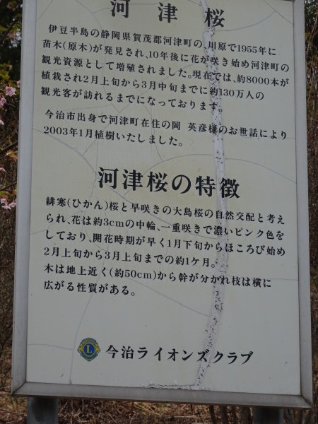 f0231709_20581909.jpg