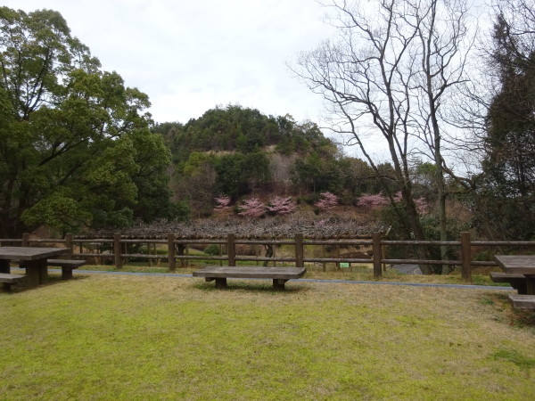 f0231709_21003709.jpg