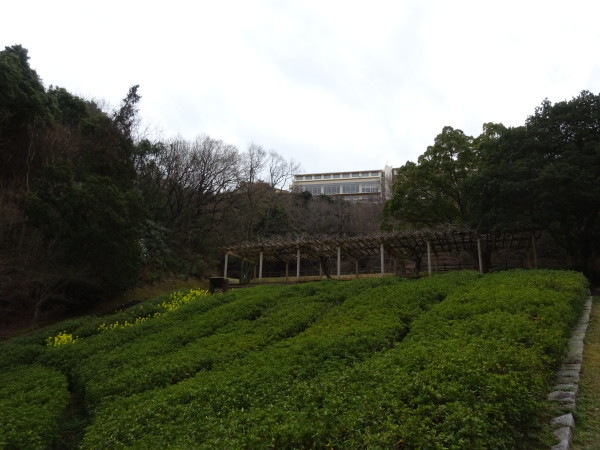 f0231709_21032633.jpg