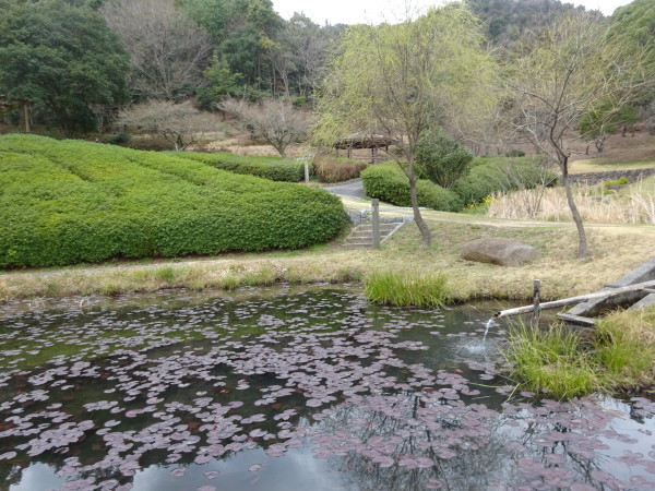 f0231709_21105638.jpg