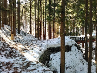 c0359615_17033254.jpg