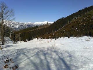 c0359615_17040620.jpg